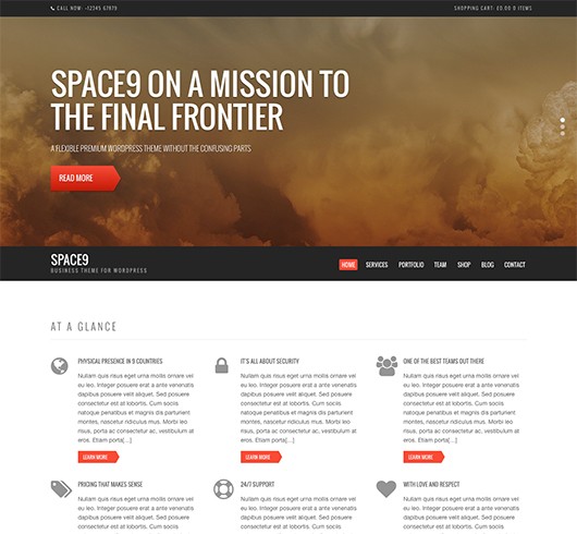 Screenshot of Business/WooCommerce theme for WordPress Space9