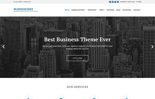 Screenshot of Business WordPress Theme Business3ree on Laptop
