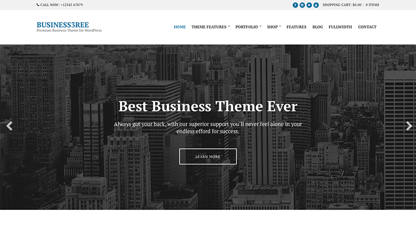 Screenshot of Business WordPress Theme Business3ree on Desktop