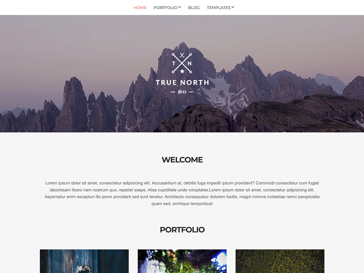 Desktop screenshot of True North WordPress theme