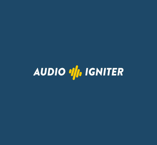 AudioIgniter WordPress plugin