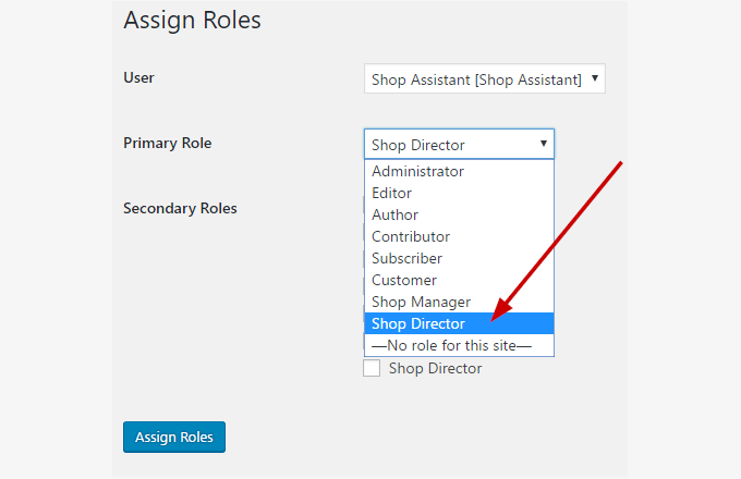 assign_director