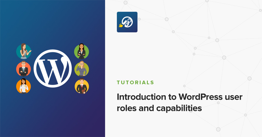 Introduction to WordPress user roles and capabilities WordPress template