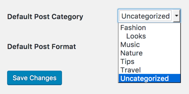 Screenshot of Default Post Category option