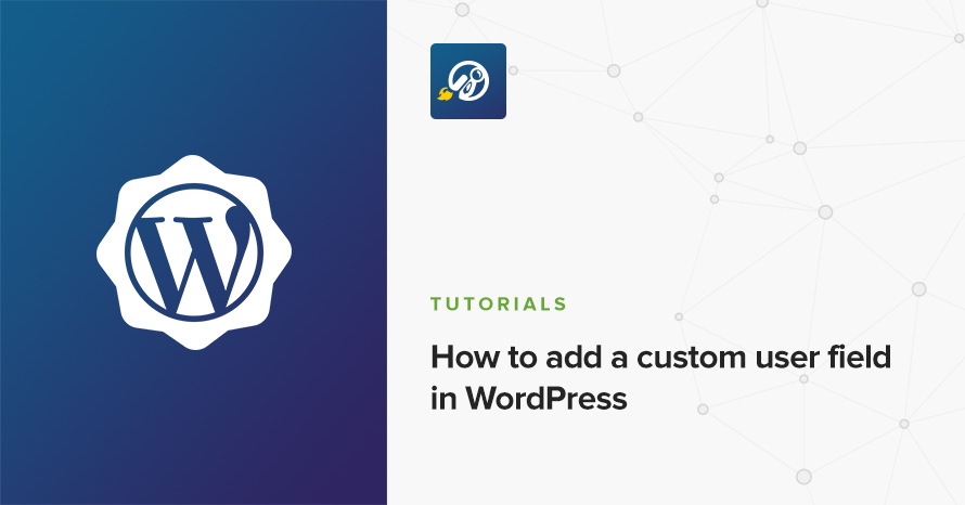 How to add a custom user field in WordPress WordPress template
