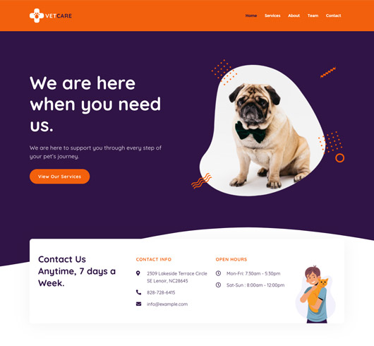 Vetcare Elementor template