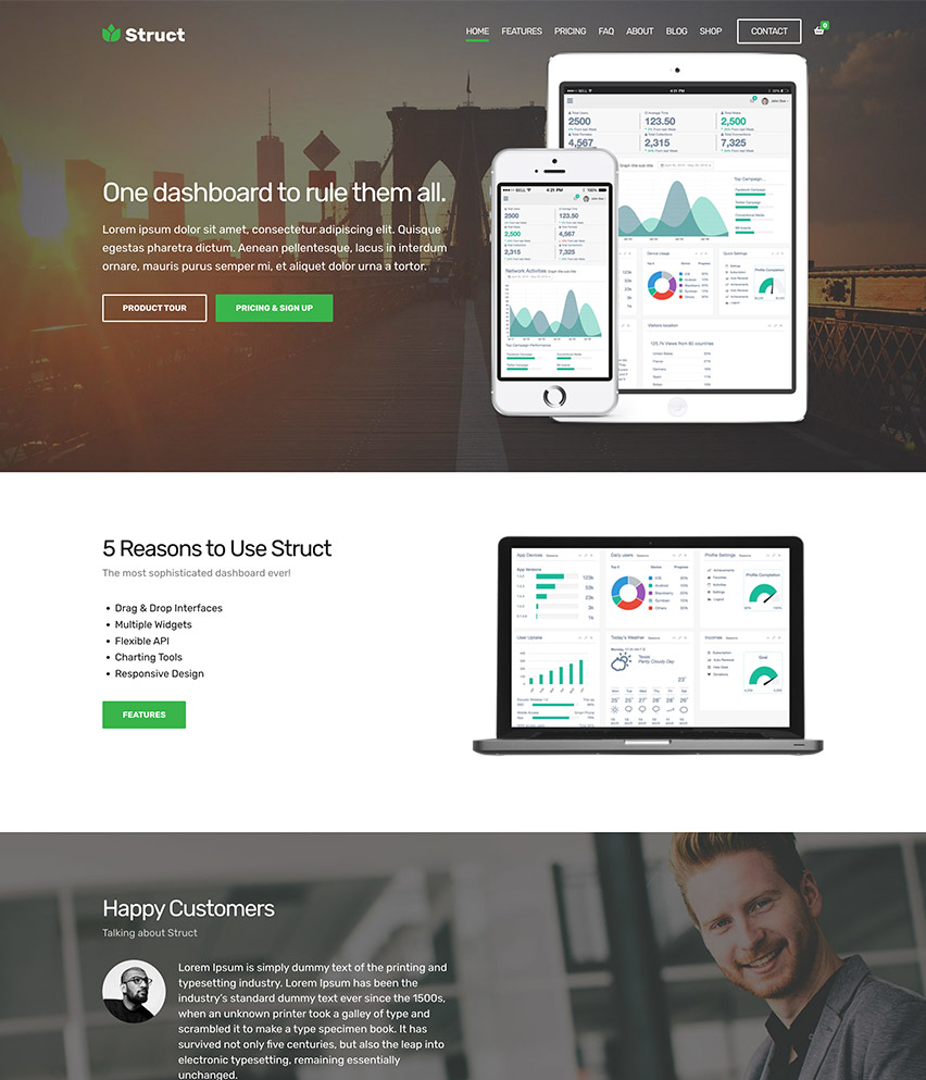 Struct WordPress template