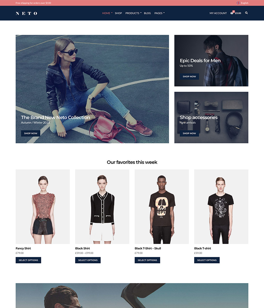 Neto WordPress template