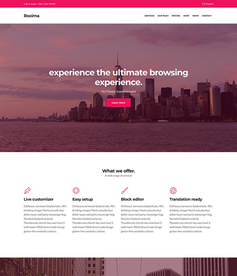 WordPress themes • CSSIgniter