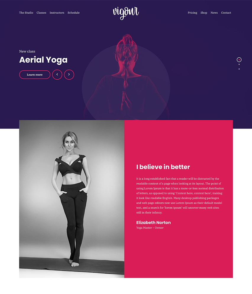 Vigour WordPress template